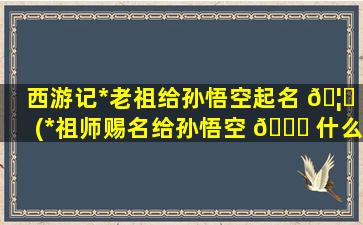西游记*
老祖给孙悟空起名 🦆 (*
祖师赐名给孙悟空 💐 什么名字)